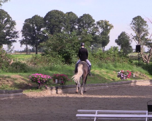 Reitturnier Datteln 2015