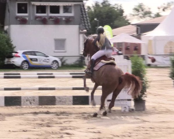 Reitturnier Datteln 2015