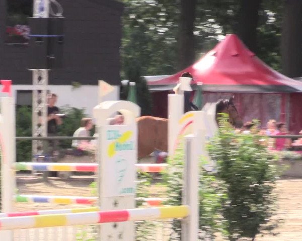 Reitturnier Datteln 2015