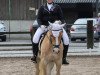 dressage horse Don (German Warmblood, 1998)