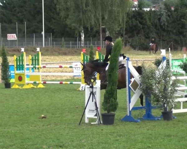 Gültsteiner Springtage 2015