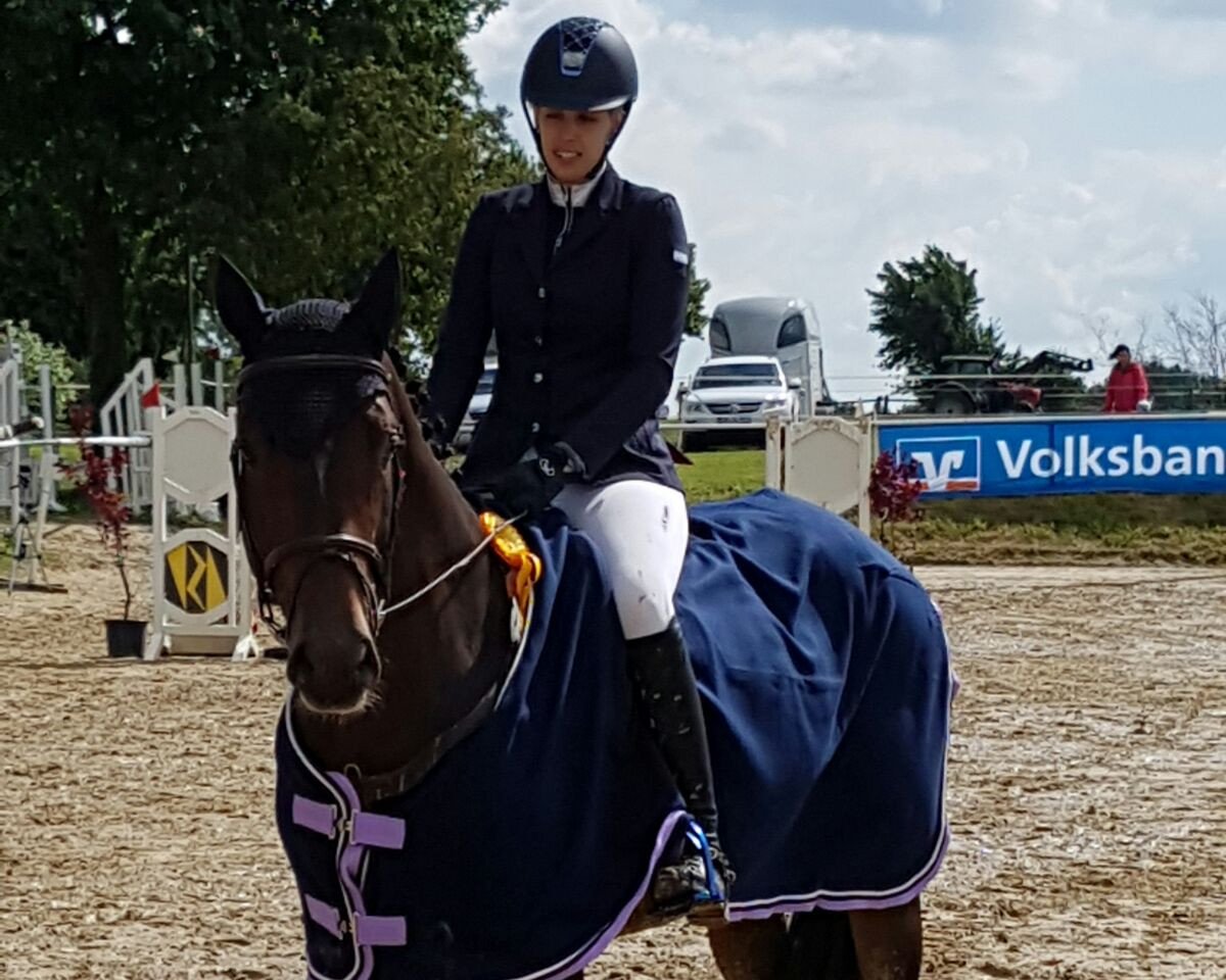stallion Cooper 191 (Holsteiner, 2012, from Casall Ask)