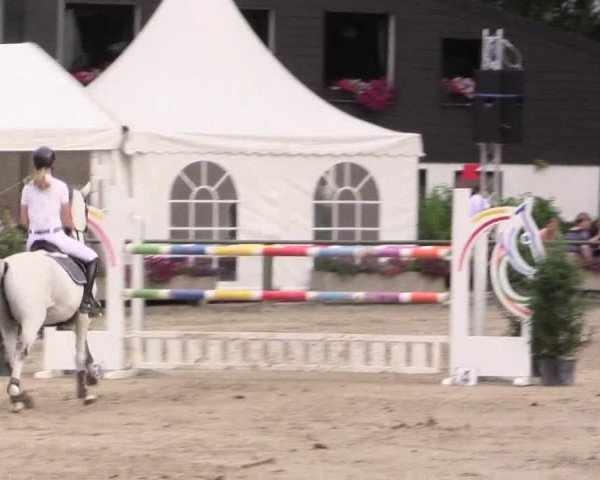 Reitturnier Datteln 2015