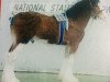 stallion Mollinhillhead Sensation (Clydesdale, 2001, from Collessie Cut Above)