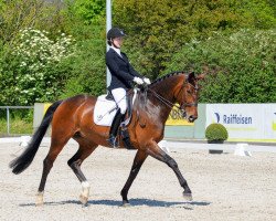 dressage horse L.St.Dr. H-San Lucia G (Luxemburgisches Reitpferd, 2009, from San Amour I)