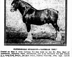 stallion Lothian Yet (Clydesdale, 1913, from Scotland Yet)