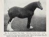 Zuchtstute Howford Classic Lady (Clydesdale, 1949, von Classic 24116)