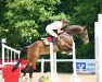 jumper Loopin' Loui (Hanoverian, 2009, from Levistano)