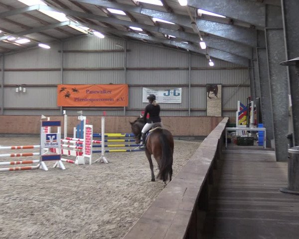 Reitturnier Pasewalk 2021