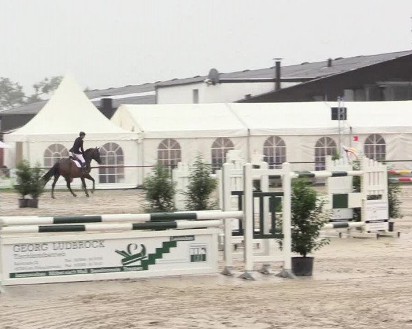 Reitturnier Datteln 2015