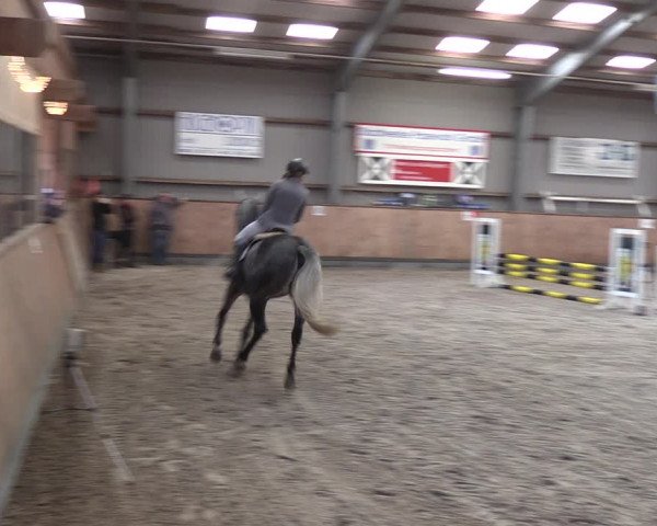 Reitturnier Pasewalk 2021