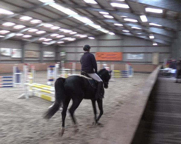 Reitturnier Pasewalk 2021