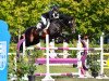 jumper Arkantine Sr (anglo european sporthorse, 2009, from Arkan)