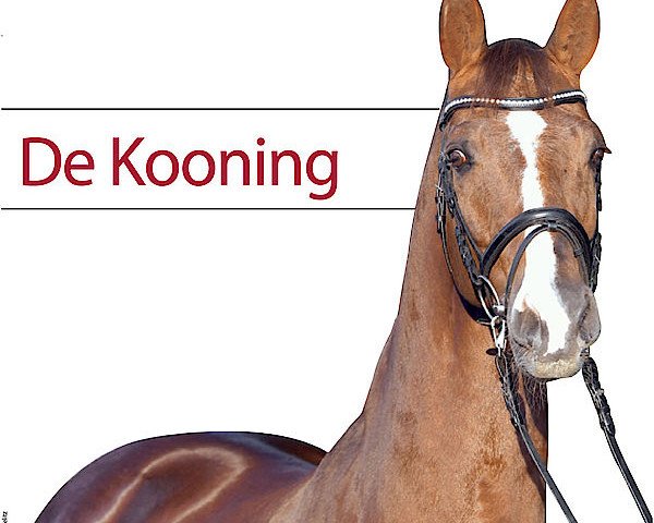 dressage horse De Kooning (Holsteiner, 2000, from Donnerhall)