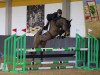 jumper Rio Negro Z (Zangersheide riding horse, 2014, from Rodrigoo VDL)