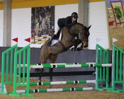 jumper Rio Negro Z (Zangersheide riding horse, 2014, from Rodrigoo VDL)