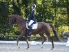 dressage horse Finley´s Fire (Hanoverian, 2011, from Fuechtels Floriscount OLD)