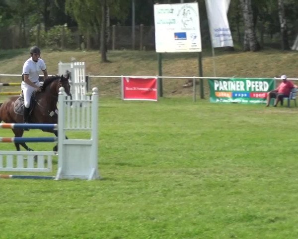 Reitturnier Gardelegen 2015