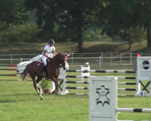 Reitturnier Gardelegen 2015
