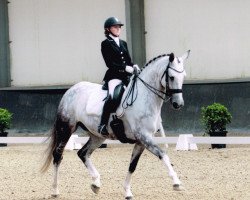 horse Bianca Van 't Kareelbos (KWPN (Royal Dutch Sporthorse), 2006, from Democraat)