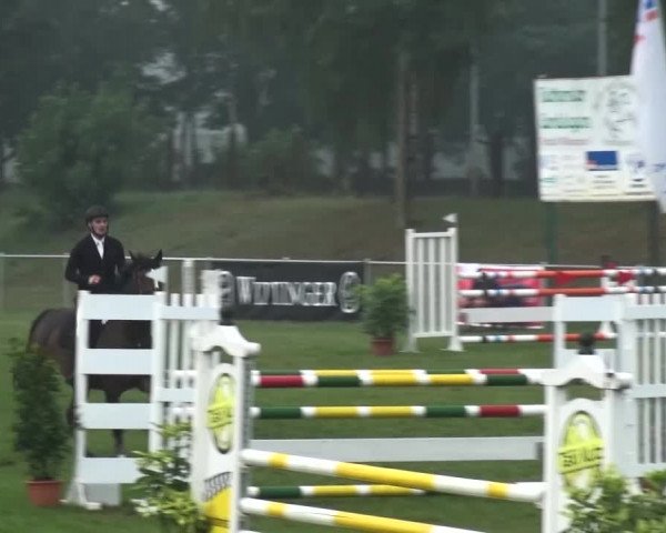 Reitturnier Gardelegen 2015