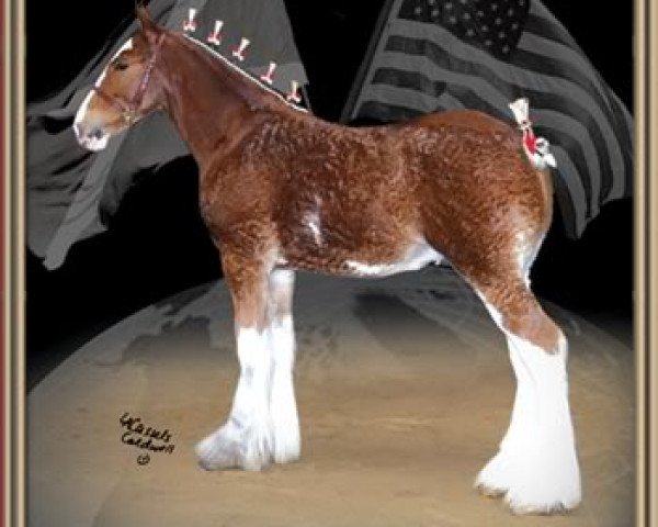 stallion Great American G.W. Carver (Clydesdale, 2007, from Great American Ben Franklin)