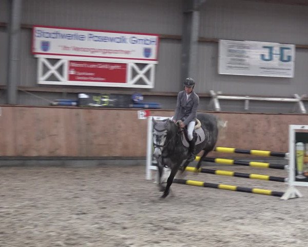 Reitturnier Pasewalk 2021