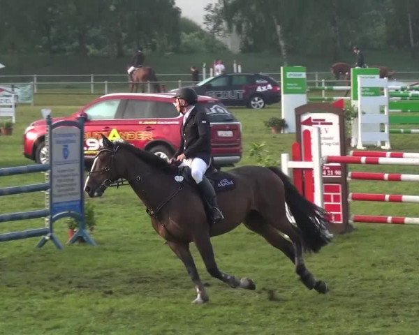 Reitturnier Gardelegen 2015