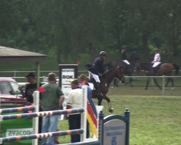 Reitturnier Gardelegen 2015