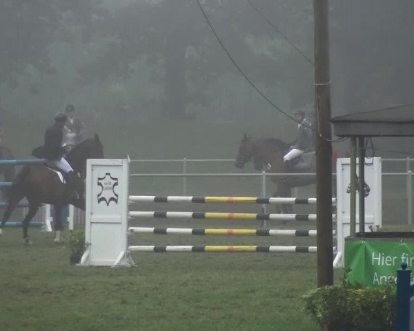 Reitturnier Gardelegen 2015