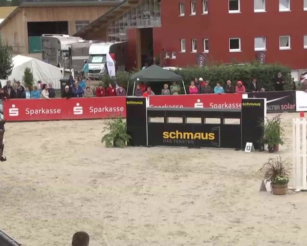 HORSE classics Killingen 2015