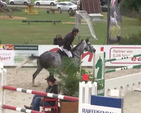 HORSE classics Killingen 2015