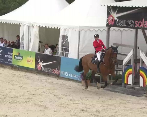 HORSE classics Killingen 2015