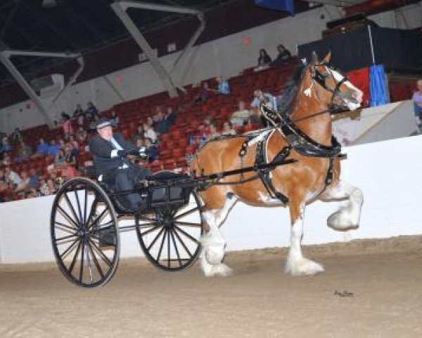 broodmare Glencoe Sweet Mary Ann's Grace (Clydesdale, 2006, from Hughes' Liveoak Candy's Spanky)