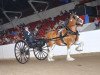 broodmare Glencoe Sweet Mary Ann's Grace (Clydesdale, 2006, from Hughes' Liveoak Candy's Spanky)