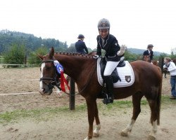 dressage horse Principal Pepe (German Riding Pony, 2001, from Principal Boy)