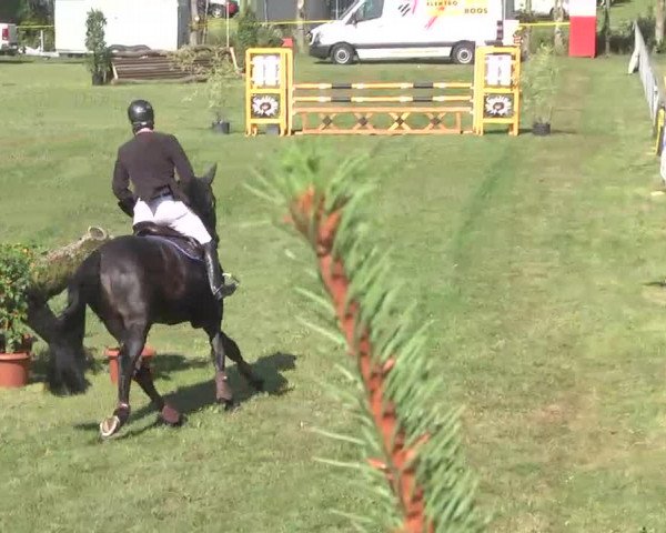 Reitturnier Pfullendorf 2015