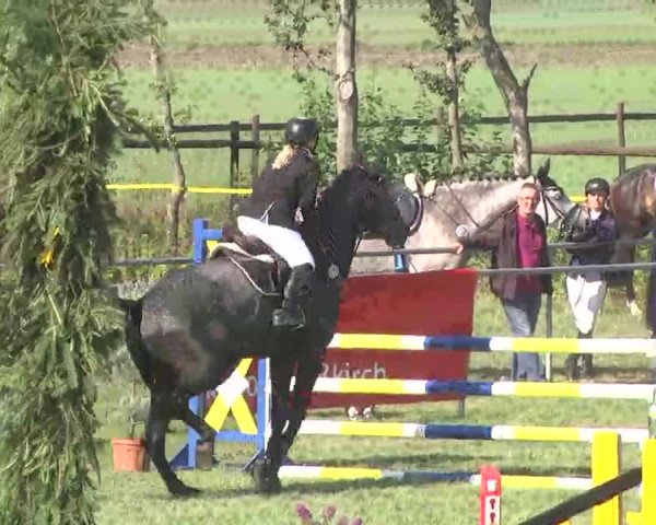 Reitturnier Pfullendorf 2015