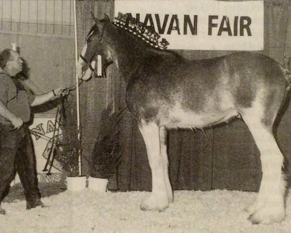 Deckhengst Shining Meadows Mitchell (Clydesdale, 1997, von Jonesway Calendar Prince)