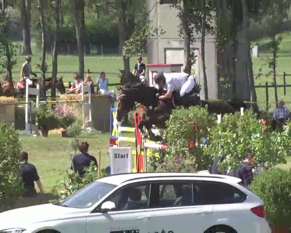 Reitturnier Pfullendorf 2015