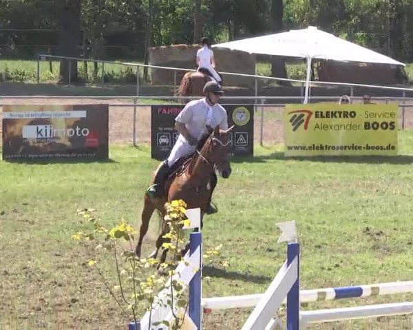 Reitturnier Pfullendorf 2015