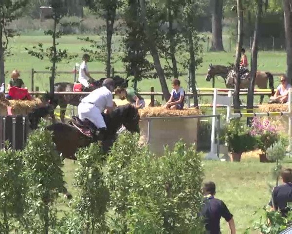 Reitturnier Pfullendorf 2015