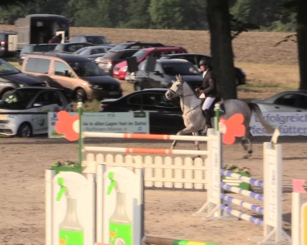 Reitturnier Recklinghausen 2015