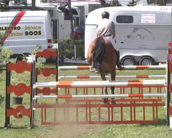 Reitturnier Pfullendorf 2015