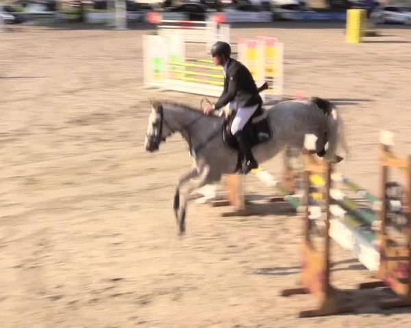 Reitturnier Recklinghausen 2015