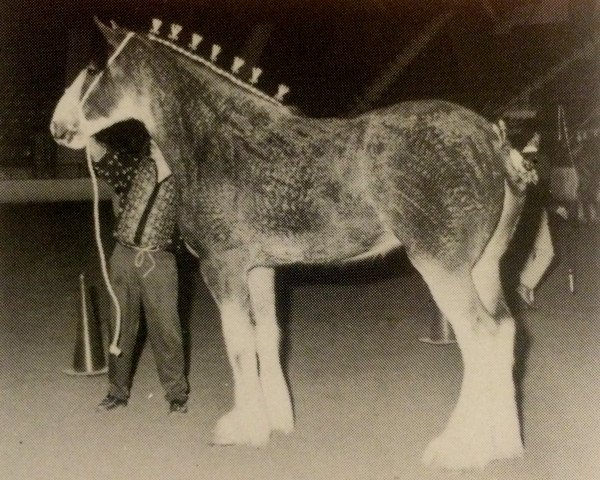 broodmare High Blochairn Jean (Clydesdale, 1990, from Collessie Speculator)