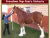 broodmare Freedom Topgun's Victoria (Clydesdale, 2006, from Twin Creek Victor's Top Gun)