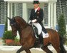 dressage horse Elmegardens Marquis (Danish Warmblood, 1999, from Michellino)