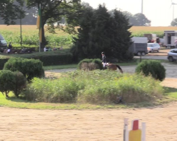Reitturnier Recklinghausen 2015
