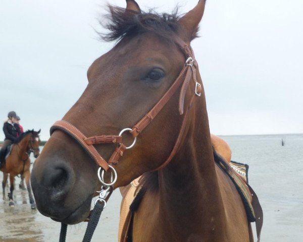 horse Pit (Pinto / Hunter, 2008)